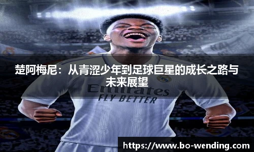 问鼎娱乐下载